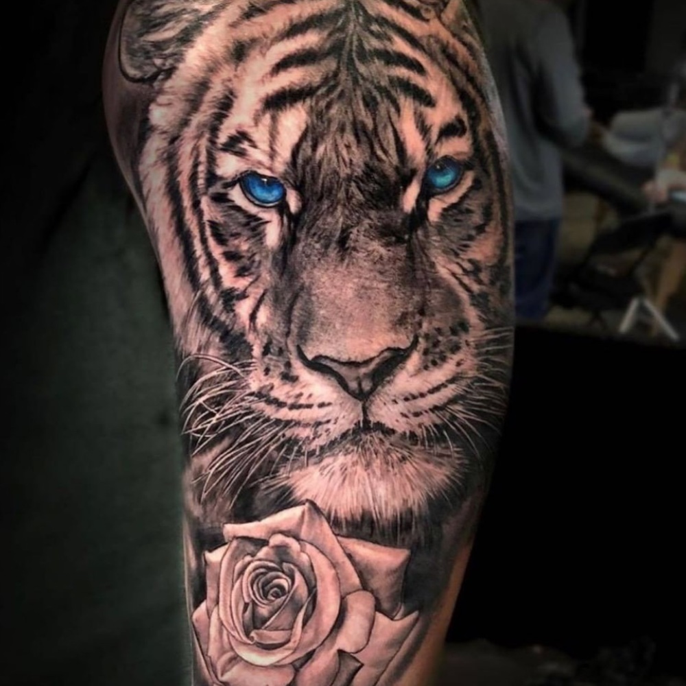 Meet your Posher, Ace